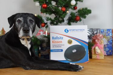 Hund bekommt Balancekissen zu Weihnachten