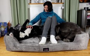 Frau und zwei Hunde in einem Hundebett