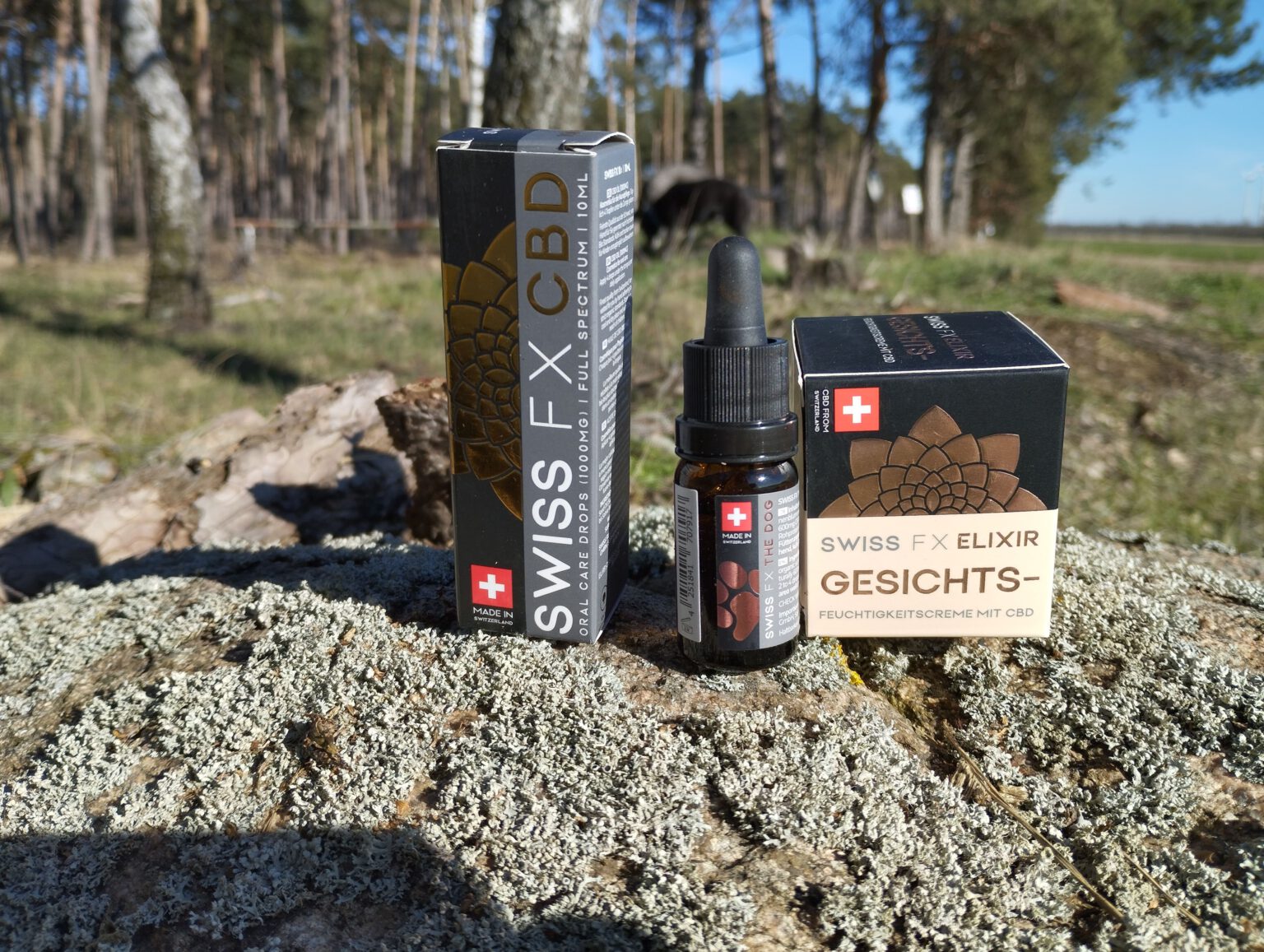 CBD Öl für ein stressfreies Silvester mit Hund Das Lieblingsrudel